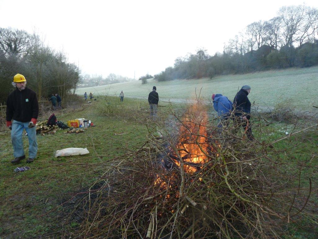 Bonfire to clear brash (waste material)