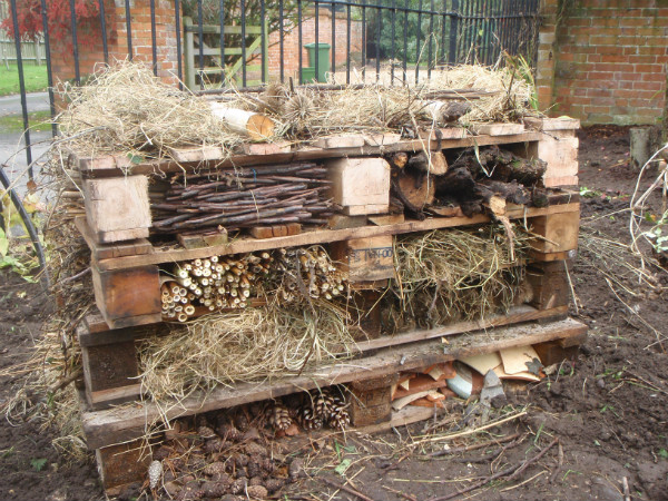 Bug hotel