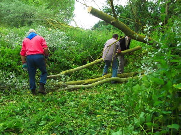 Path being cleared