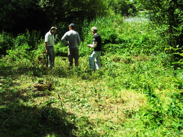 Volunteers clears scrub