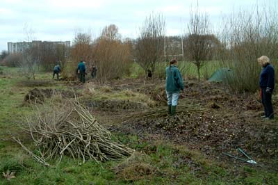 Partially cut willow bed reveals tent.