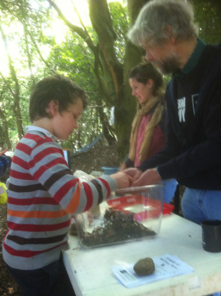 Child handling slowworm