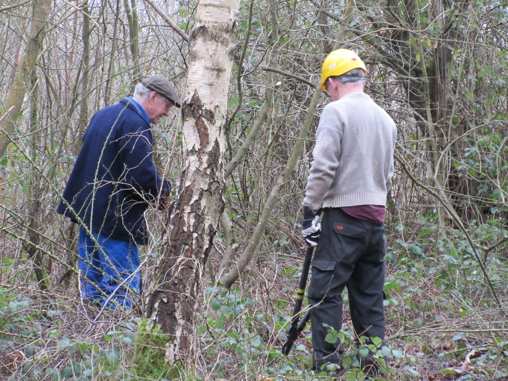 January 2020 ~ Paices Wood Country Park, Aldermaston ~ Woodland management