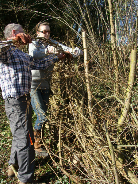 Volunteers practice binding