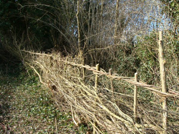 Completed hedge