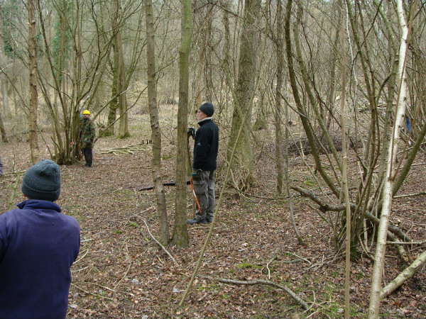 Coppice plot