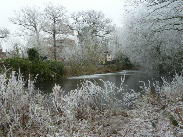 Pond at start of task