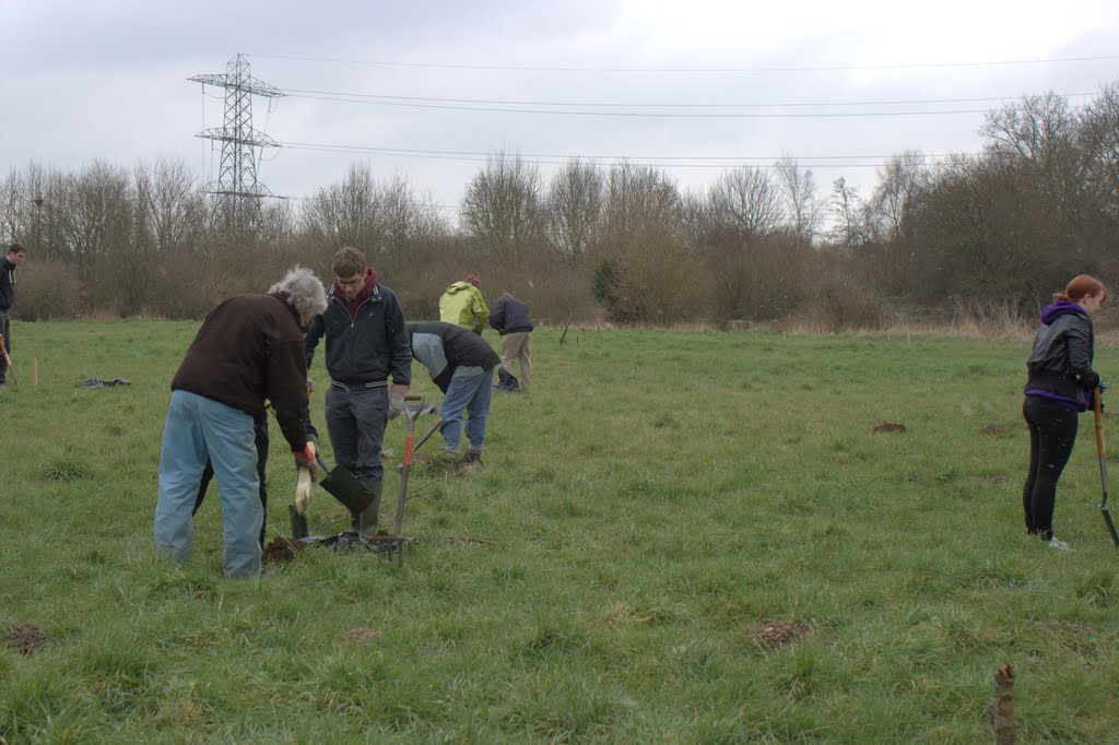 Volunteers preparing to plant fruit trees